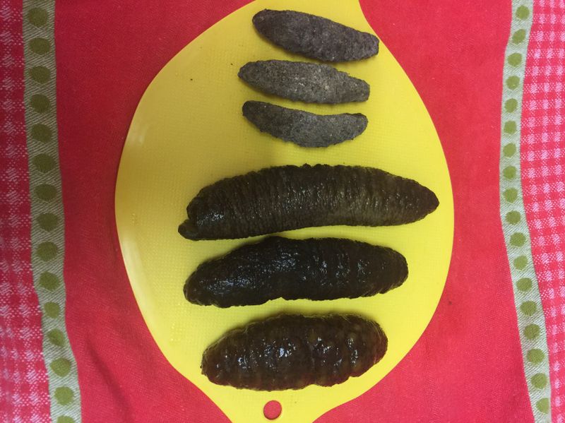 自己泡发海参