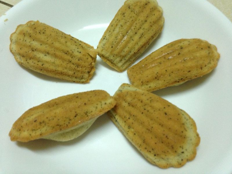 零難度美味蜂蜜瑪德蓮輕鬆做