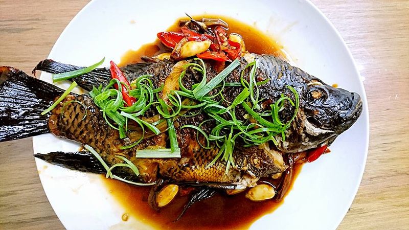 紅燒吳郭魚