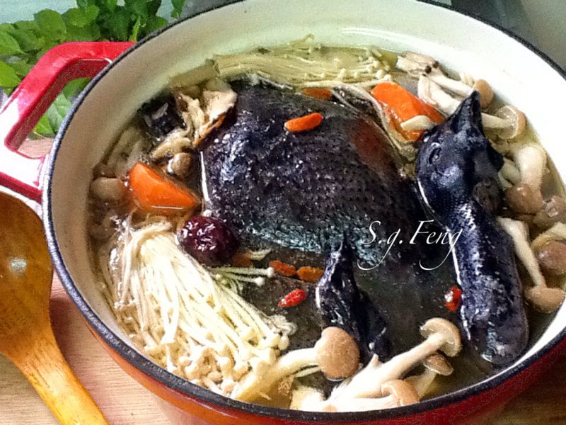 人蔘烏骨雞湯