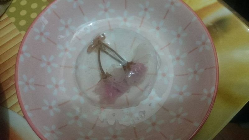 櫻花水信玄餅