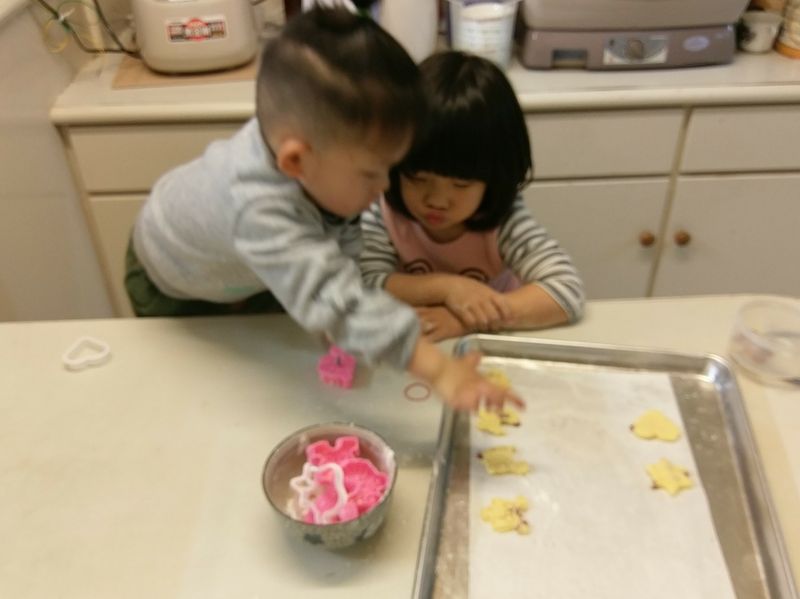 蔓越莓餅乾