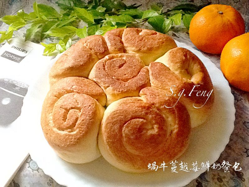 蝸牛蔓越莓鮮奶餐包(電子鍋版)