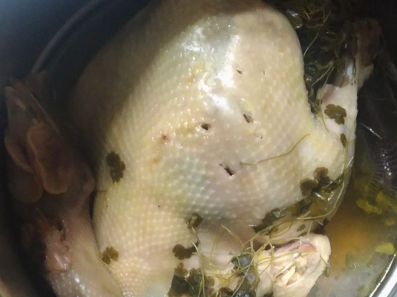 遍地錦雞湯🐓