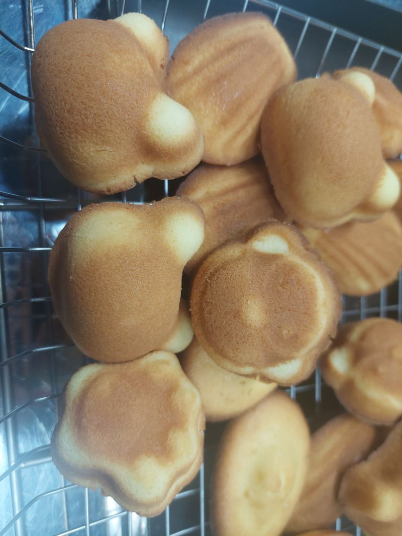 瑪德琳