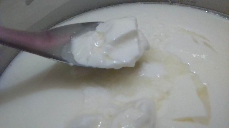 【一鍋到底】電鍋版自製酸奶(原味優格)