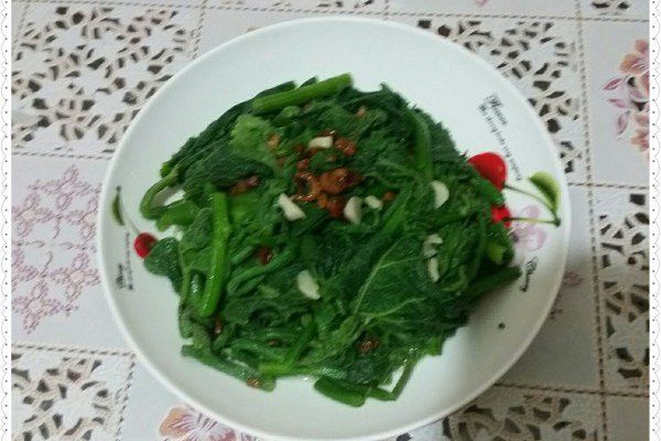 蒜香南瓜苗