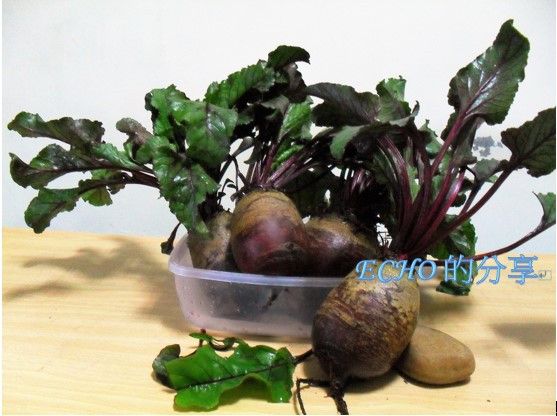簡單無油煙料理〜涼拌甜菜根