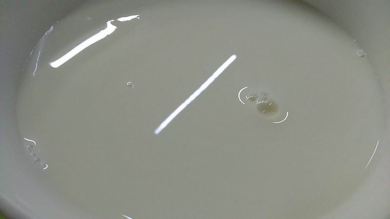 【夏日特調涼飲】鮮奶綠茶