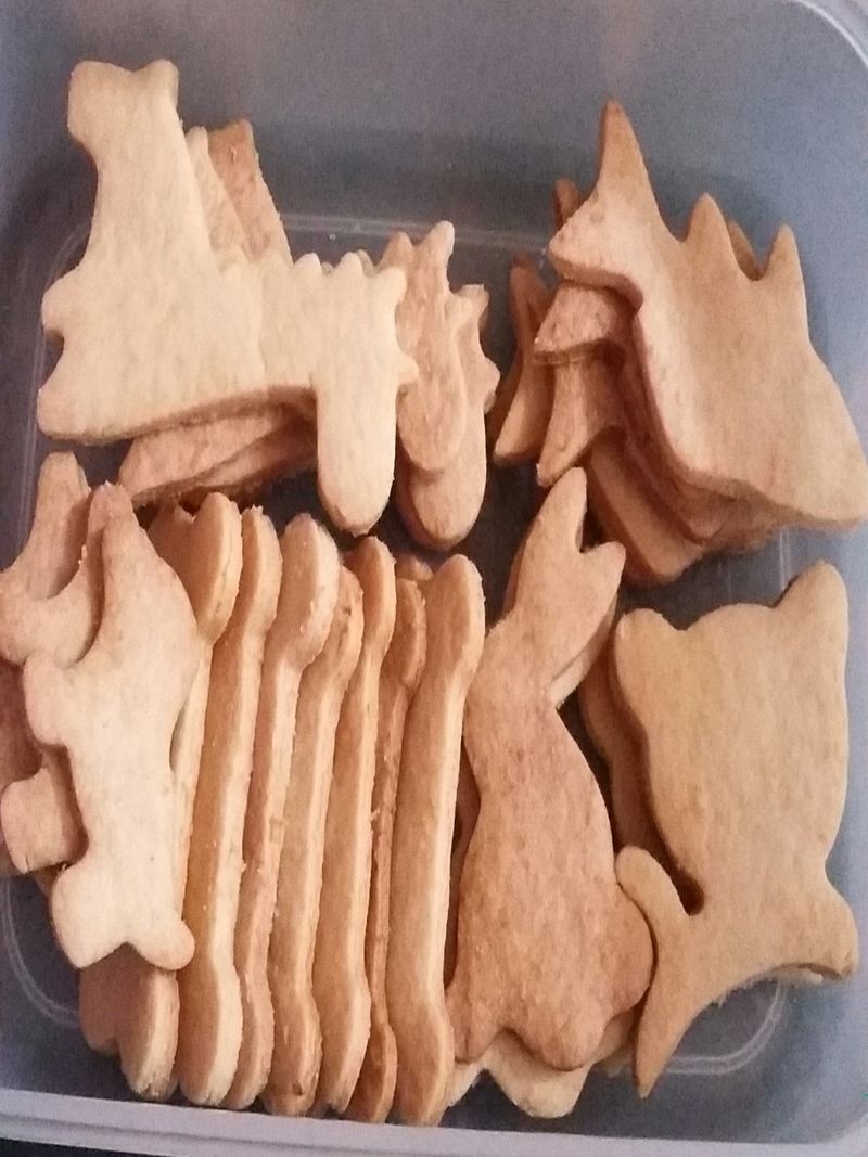 動物餅乾