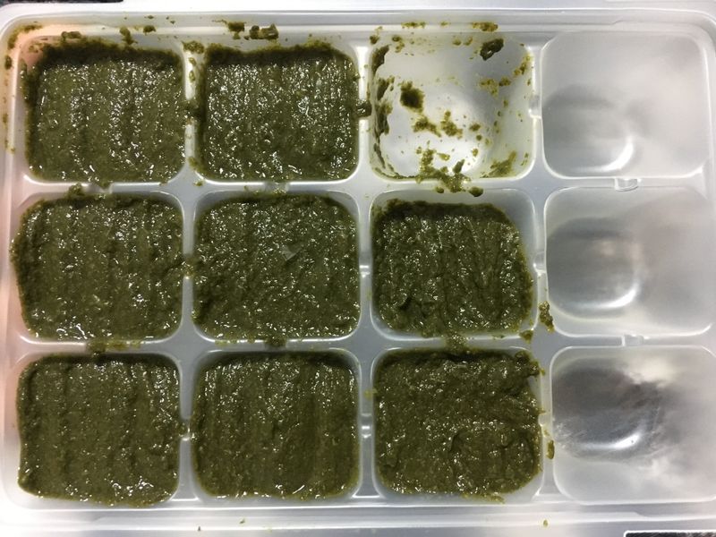 【副食品】紅莧菜泥 電子鍋烹飪