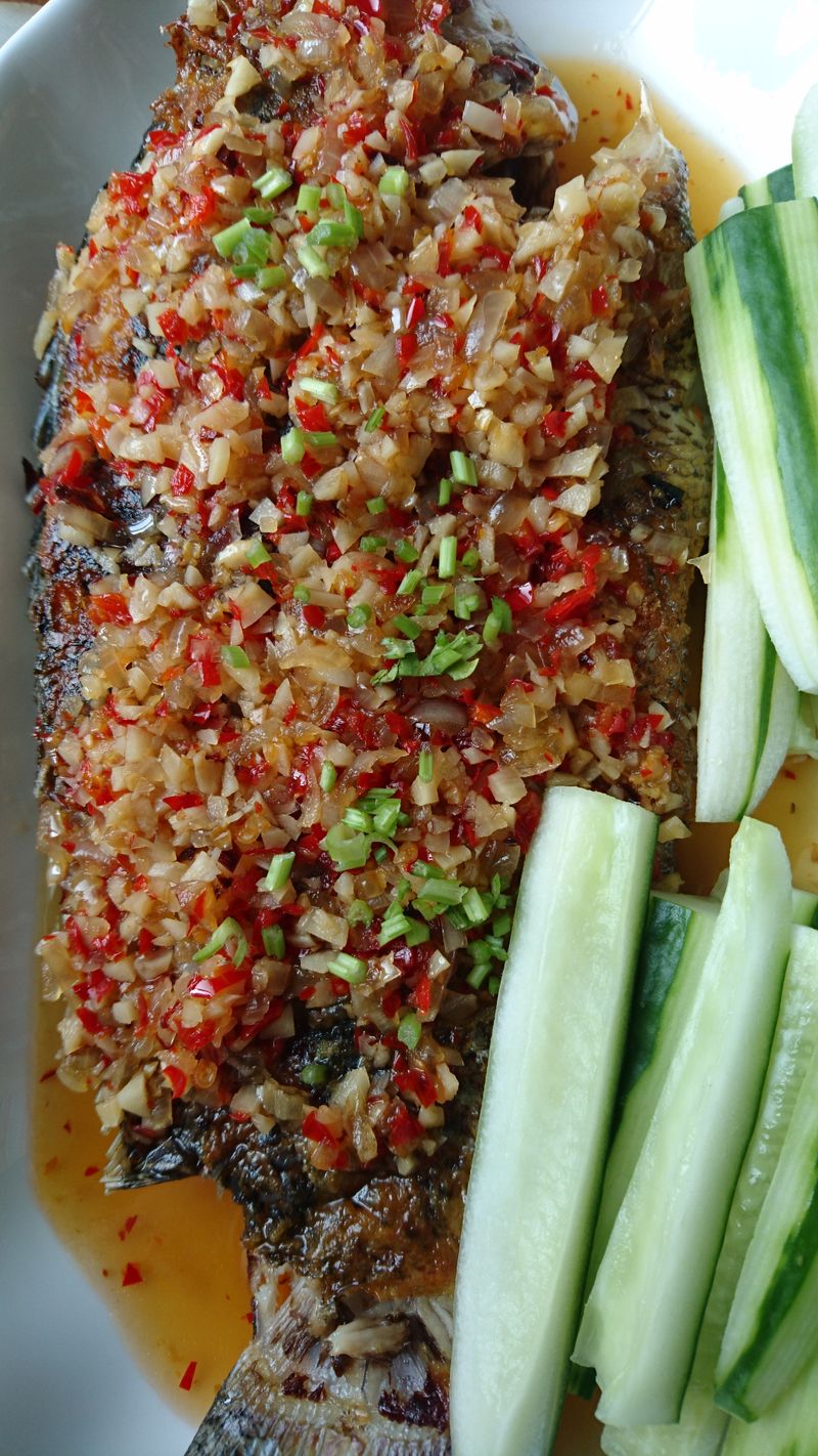 乾煎酸辣羅非魚佐青瓜