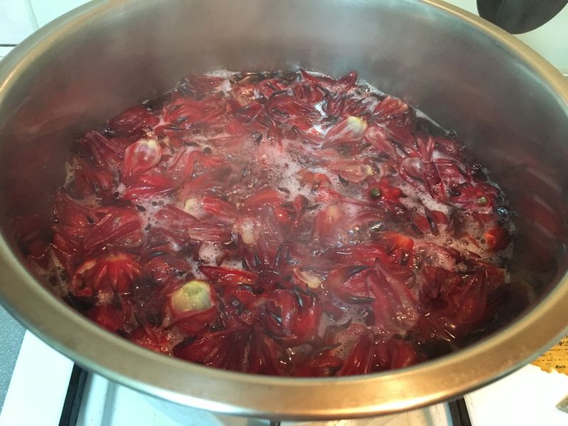 洛神花茶