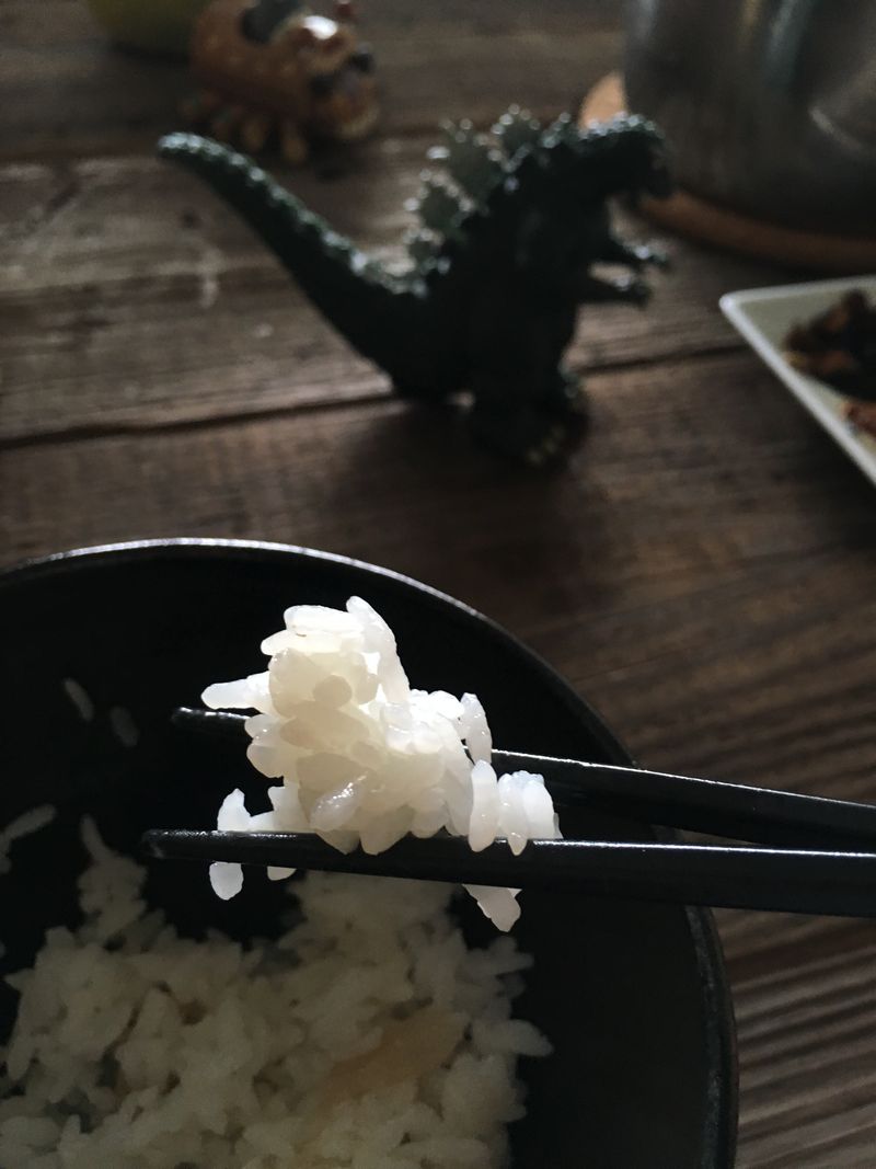 鑄鐵鍋煮白飯