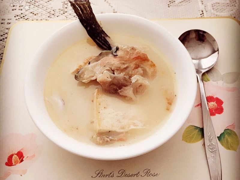 （Kylie 的午餐食客）