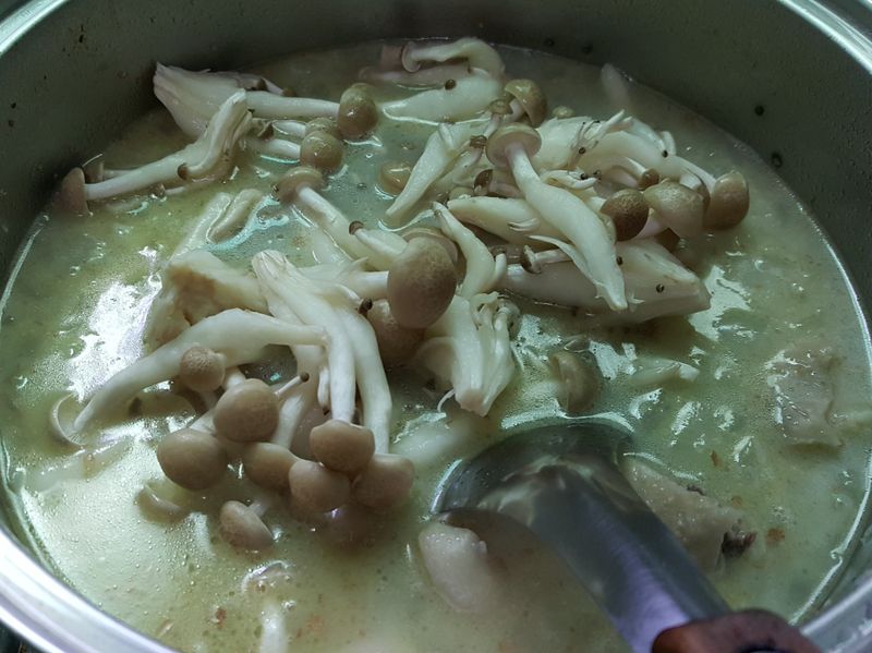 洋蔥雞湯