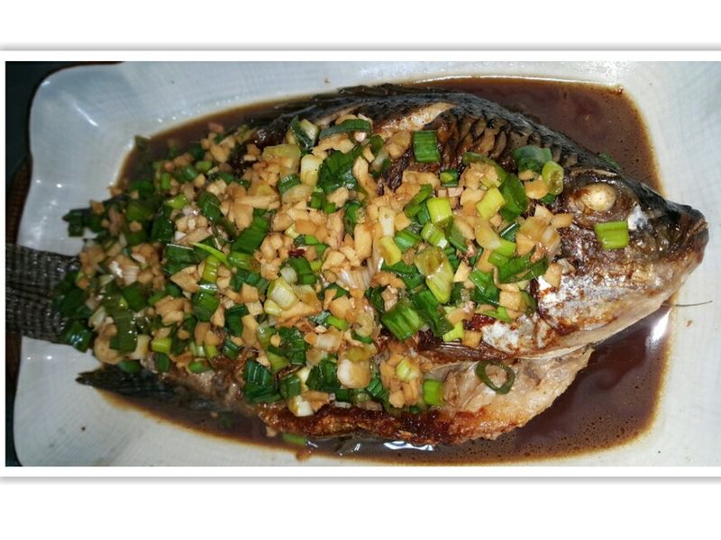 蔥薑吳郭魚