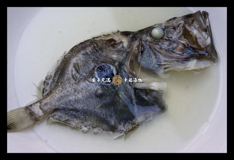 【幸福海物】薑絲清湯多利魚-John Dory 深海馬頭鯛