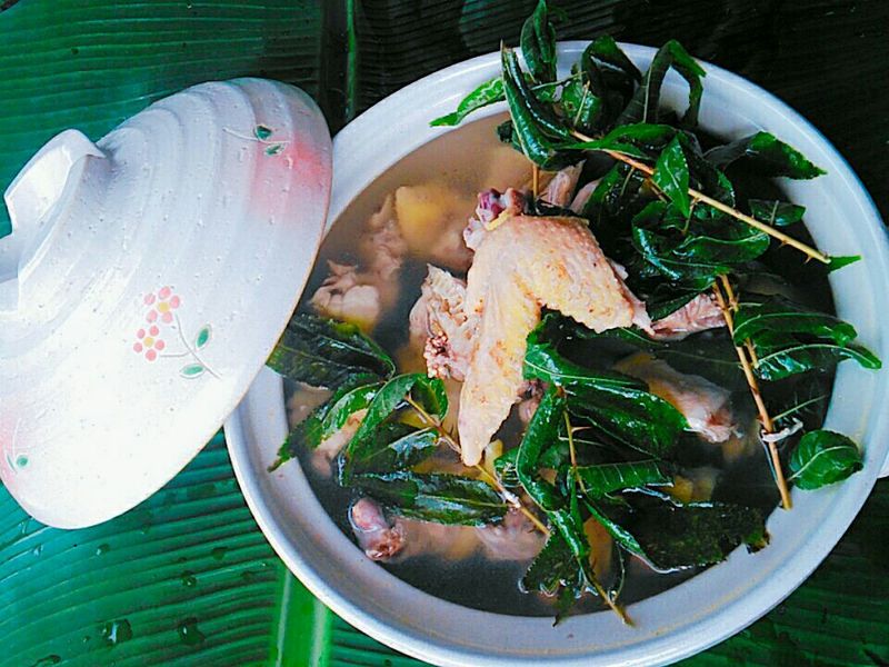 刺蔥雞湯