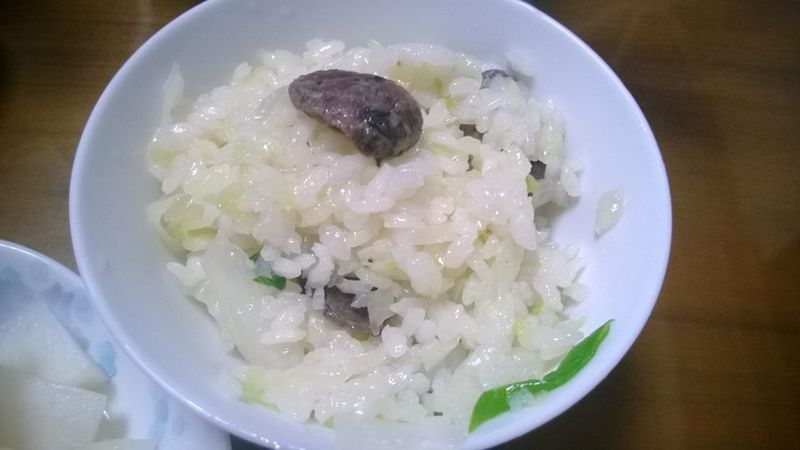 烏骨雞高麗菜燉飯