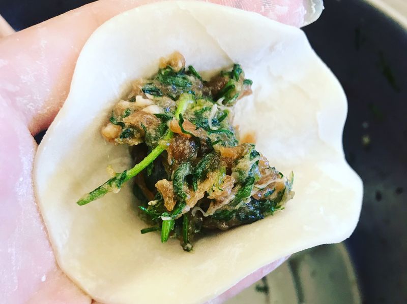 茴香菜水餃