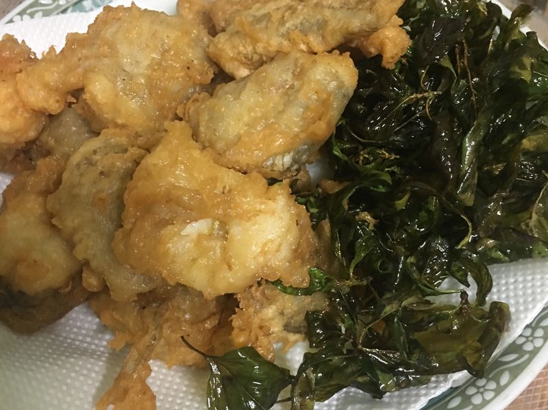 酥炸那個魚=小鰭鐮齒魚