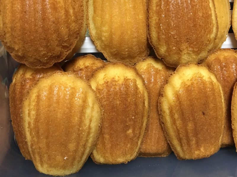 瑪德蓮