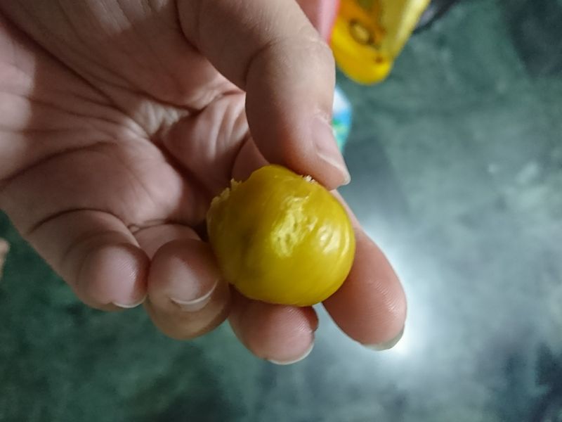 炒栗子🌰🌰