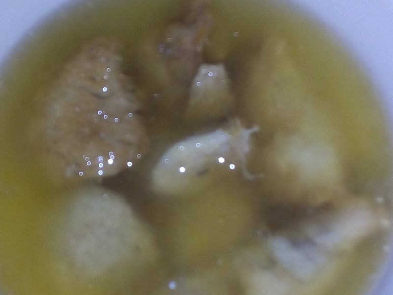 開運猴頭菇