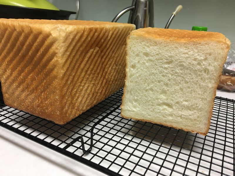 百搭白吐司🍞