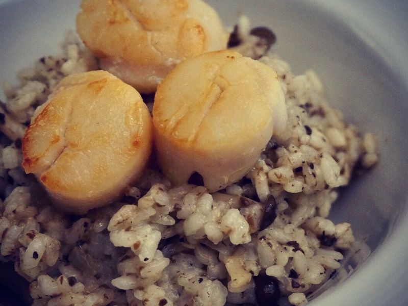 干貝松露燉飯