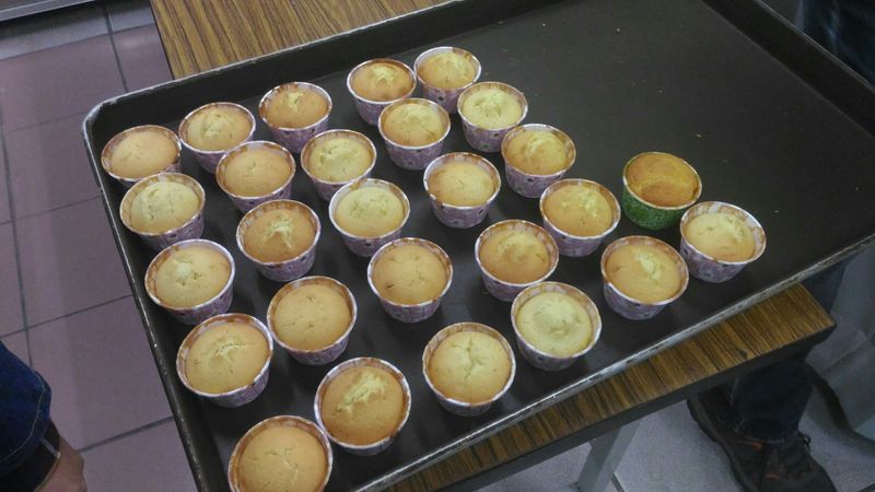 原味杯子蛋糕