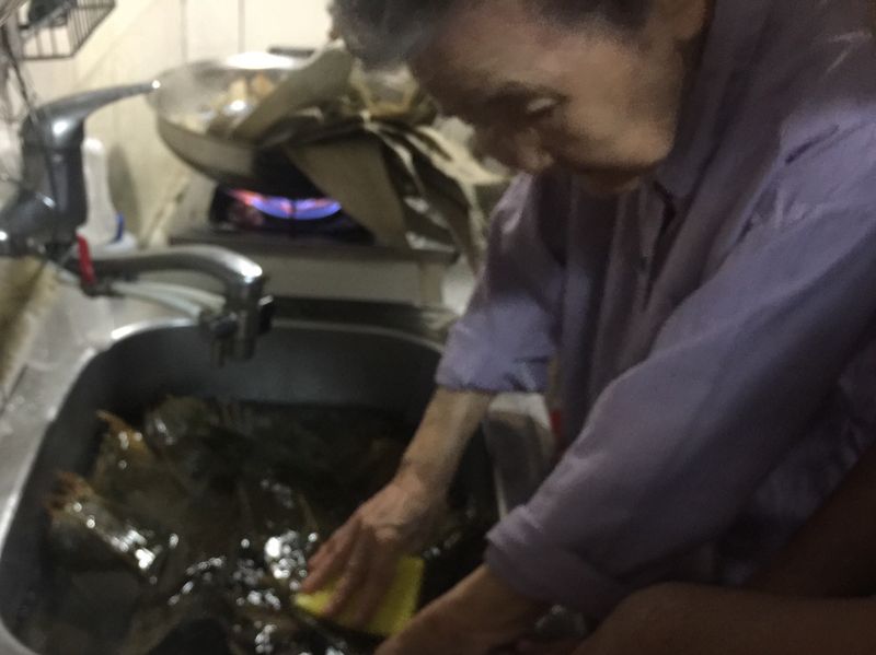 粽子Zongzi 🎋
