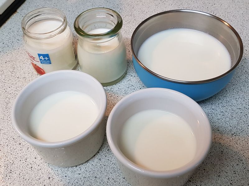 奶粉製作奶酪