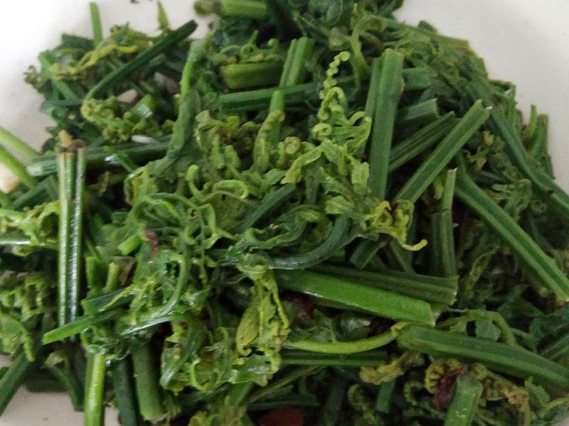 豆鼓過貓