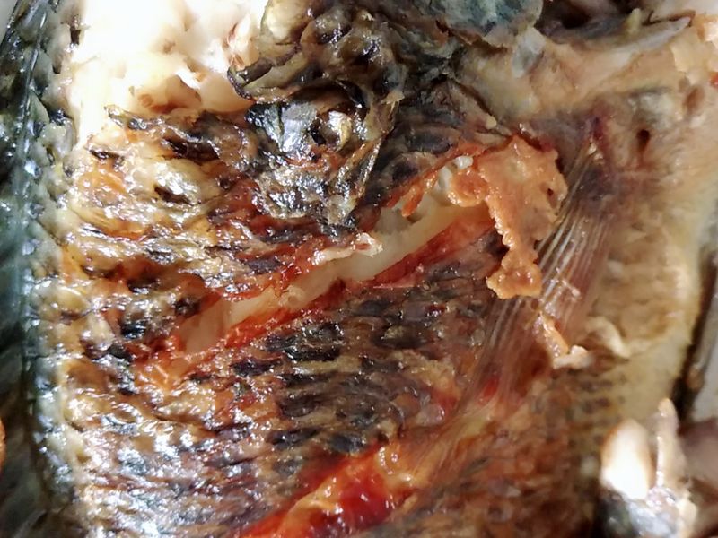 乾煎吳郭魚