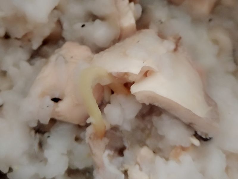 虱目魚肚粥