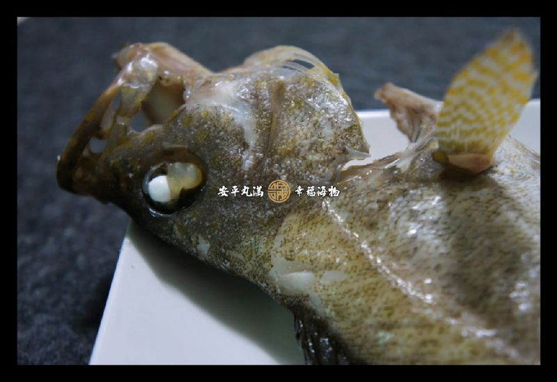 【幸福海物】寶石石斑薑絲清湯