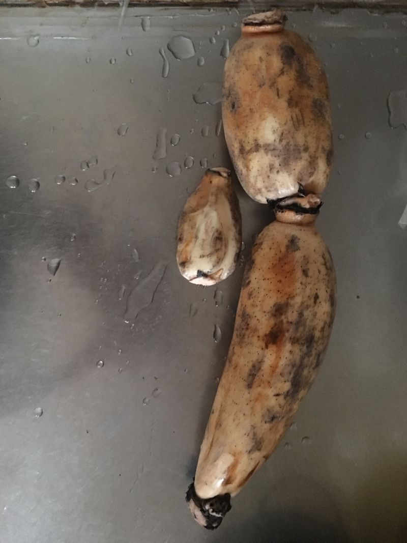 蓮藕排骨湯