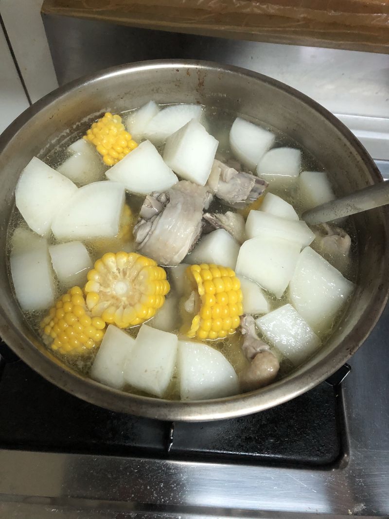 蘿蔔雞湯 家常湯