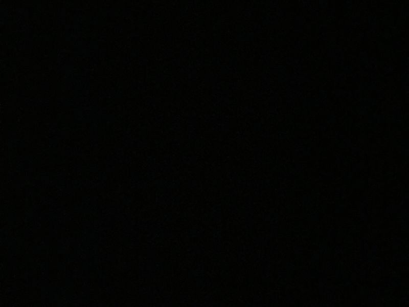 白色豹紋黑色鏡面