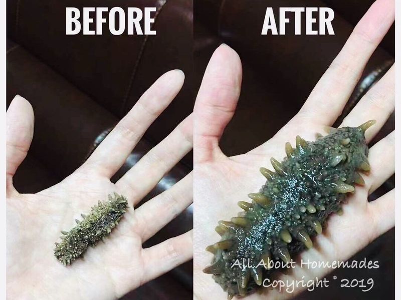 浸發海參