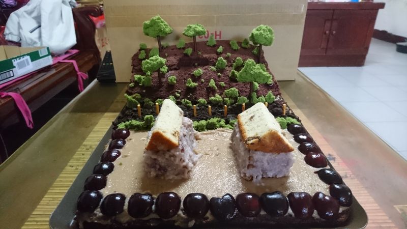 生日蛋糕_我家後面有山坡造型