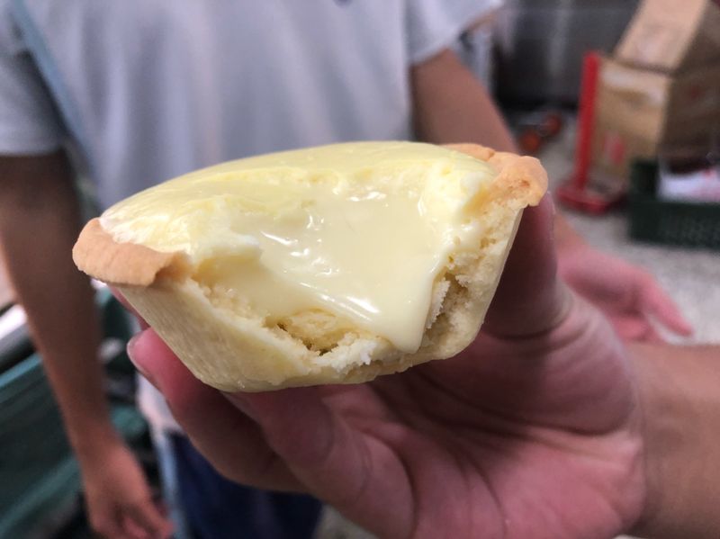 半熟乳酪塔