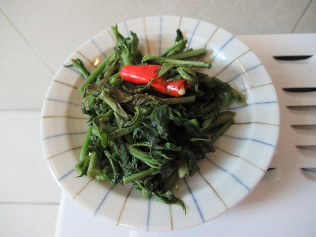孜然香椿