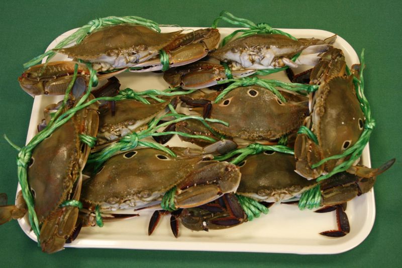 清蒸三點蟹