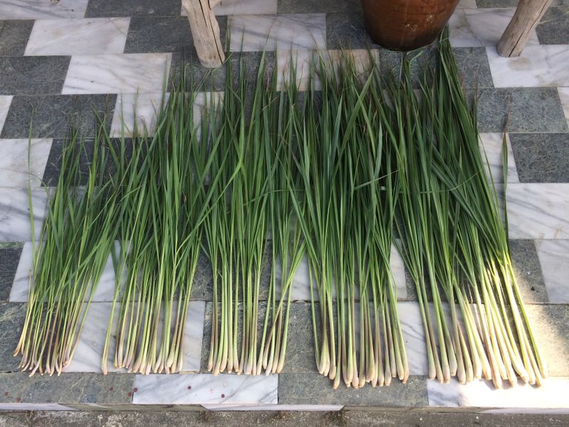 檸檬香茅運用