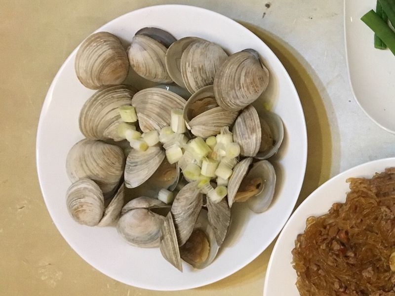 牛奶貝