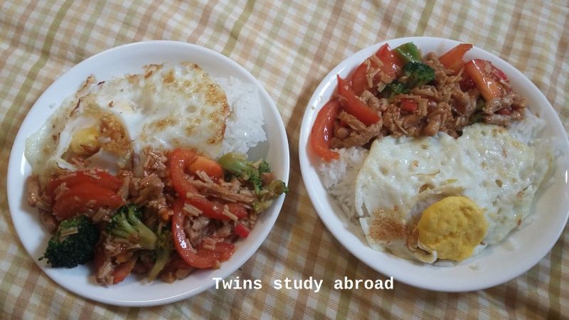 打拋素肉
