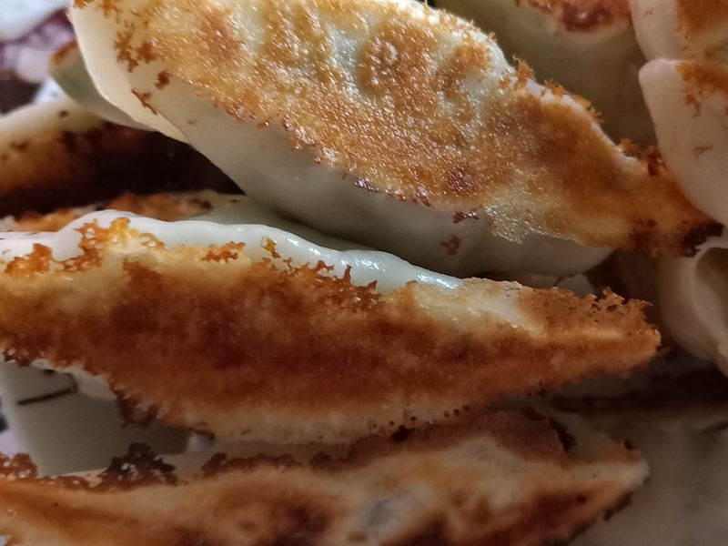 韭菜肉煎餃